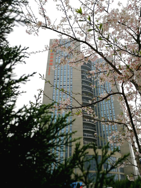 Bwin必赢国际·(中国)唯一官方网站